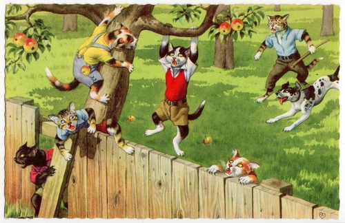 Mainzer eugen hartung cats - -,