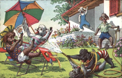 Mainzer dog fantasy - fantasy, 4818