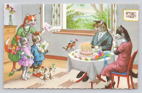 Cat birthday party - party, #4940