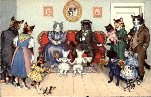 Mainzer cats humor - cats, party