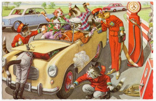 Mainzer eugen hartung cats - mainzer,