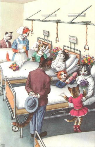 1970s dressed cats mainzer - 1970s,