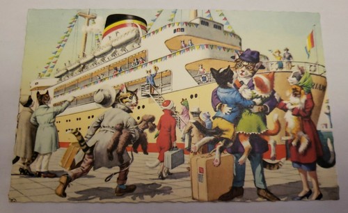 Mainzer hartung cats - mainzer,