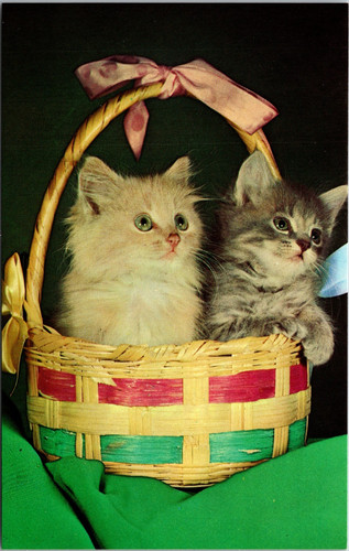 Vintage alfred mainzer kittens - vintage,