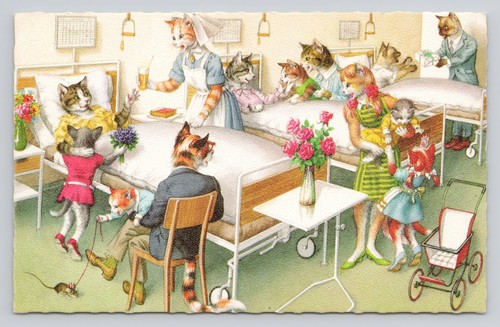 Cats hospital 4988 alfred - in, #4988