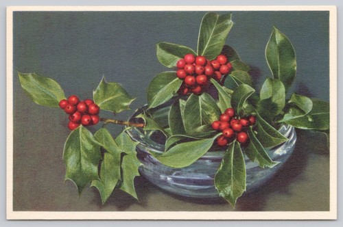Holly berries bowl christmas - berries,