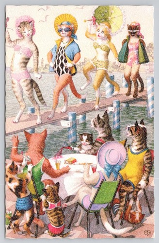 Alfred mainzer cats resort fun - alfred,