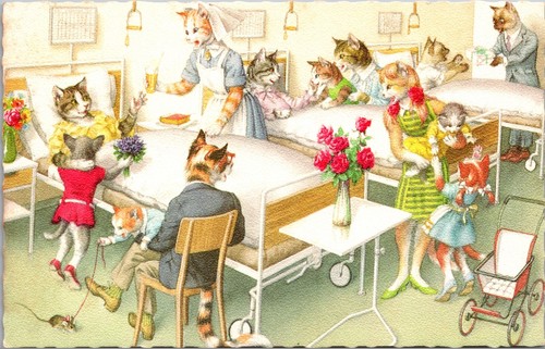 Alfred mainzer postcard - alfred,
