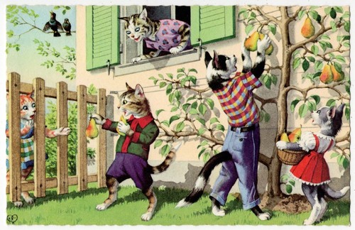 Mainzer eugen hartung - -, cats