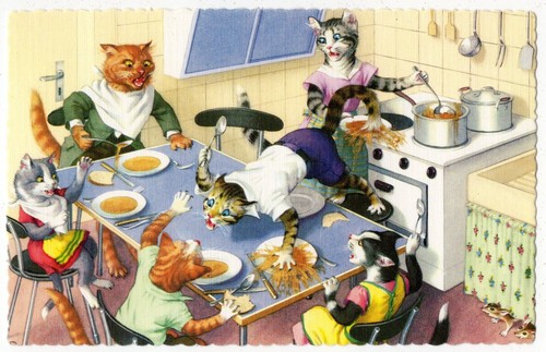 Mainzer hartung cats - mainzer,