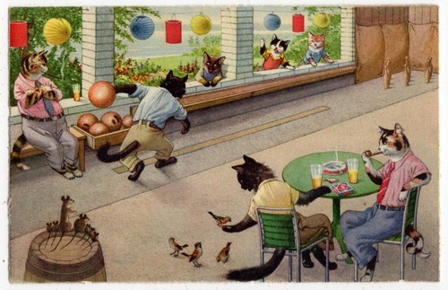 Mainzer eugen hartung cats - -,
