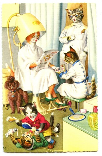 Cats alfred mainzer - mainzer, beauty