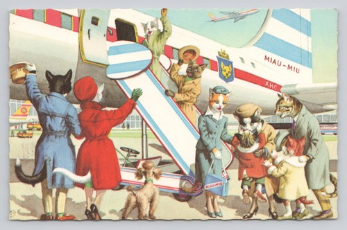 Cats boarding airplane 4934 - cats, #4934