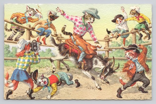 Cat rodeo western - cat,